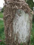 image of grave number 112240